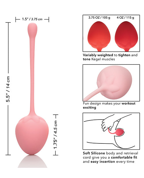 Kegel Training Set