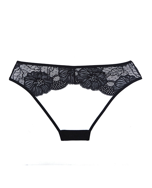 Adore Kiss Mesh & Lace Open Panty Black O/s