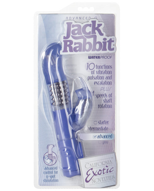 Jack Rabbits Advanced G